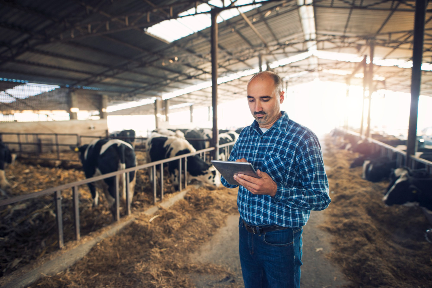 Como o planejamento financeiro ajuda a acessar capital no agronegócio