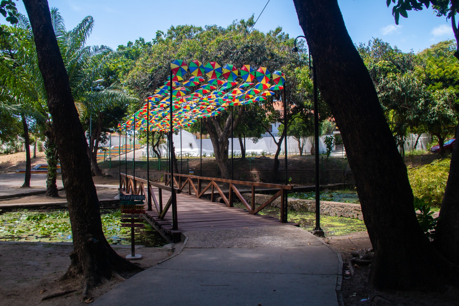 Entre blocos e sabores, Olinda Dá Gosto se firma como ponto gastronômico do Carnaval