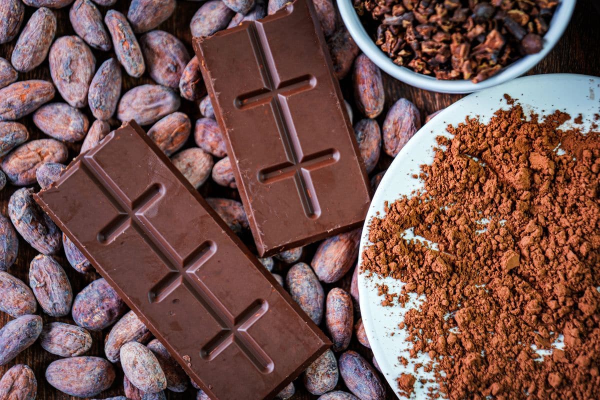 Novas normas para porcentagem de cacau e etiquetagem de produtos de cacau são aprovadas pela Câmara.