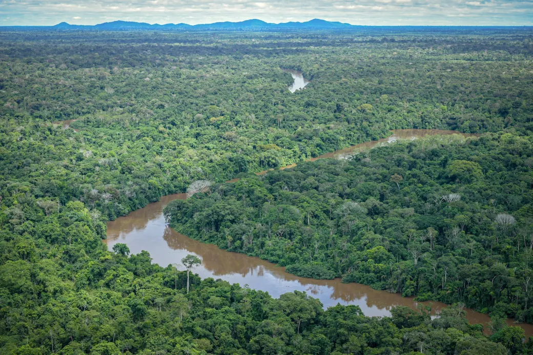 Alerta das entidades: Medida de urgência aprovada no Congresso ameaça principal instrumento legal de combate ao crime ambiental