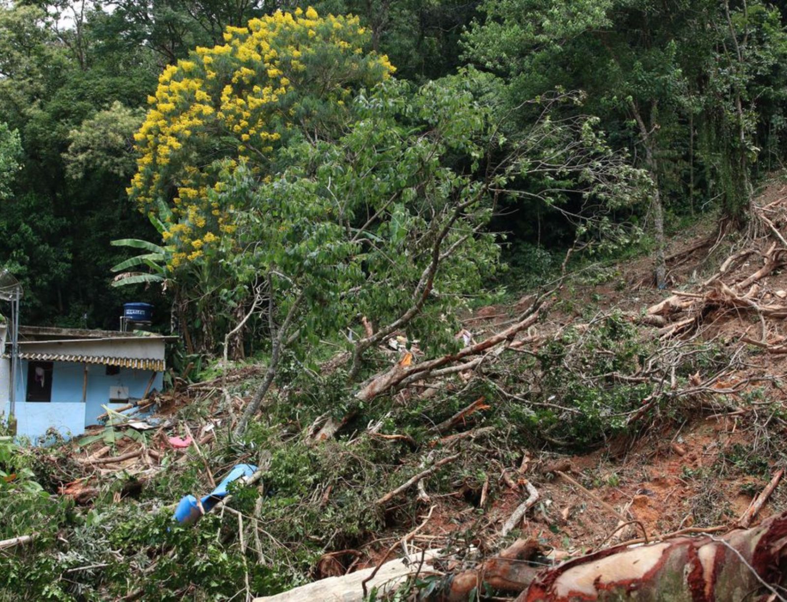 O impacto oculto que drena bilhões do PIB brasileiro anualmente