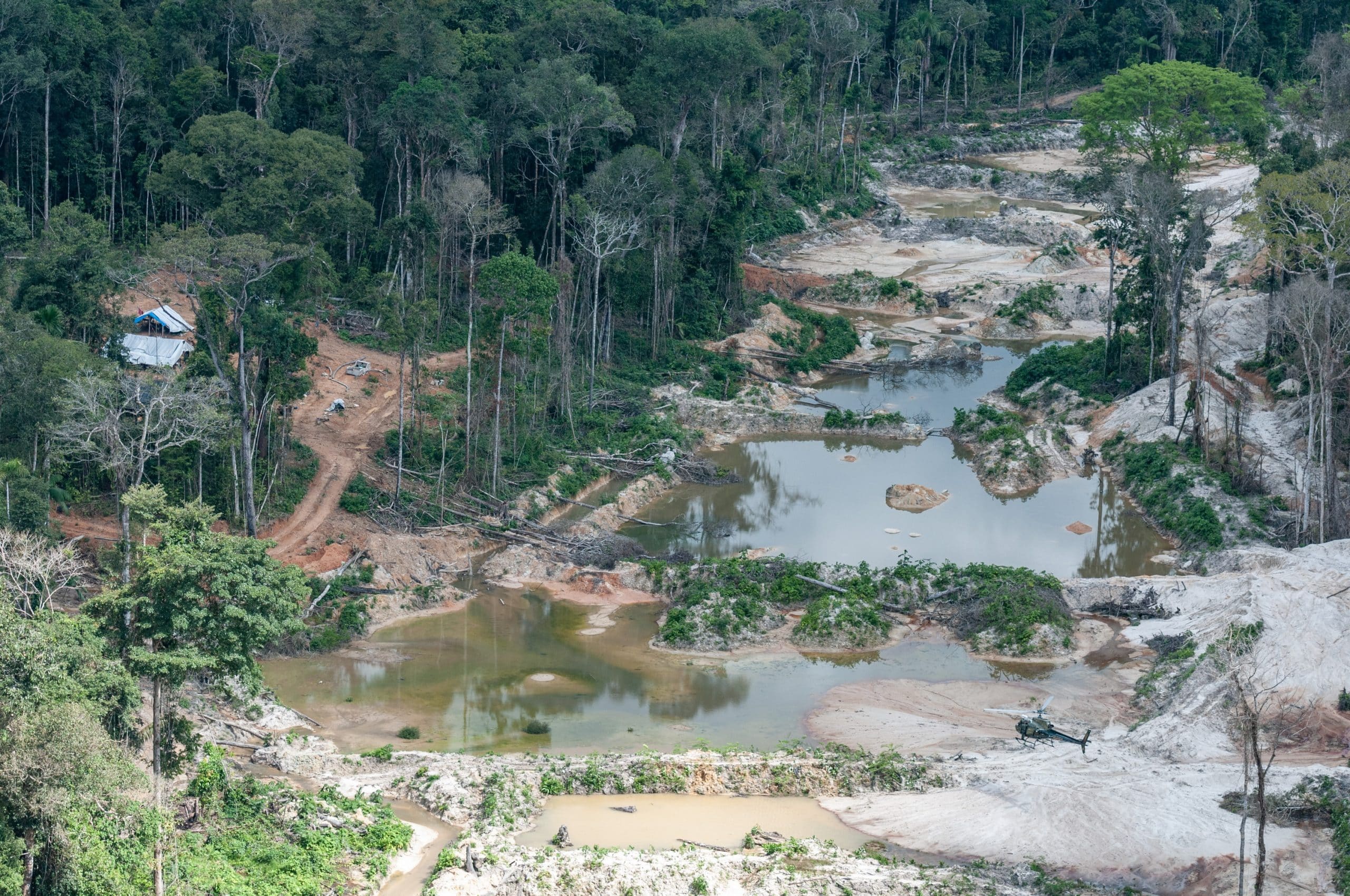 Ameaça à Amazônia: ONG denuncia crescimento do crime organizado e seus impactos ambientais