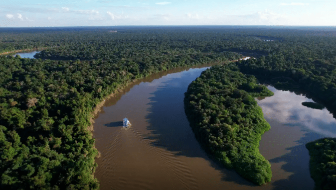 Desmatamento no Brasil atinge o menor nível em seis anos, revela MapBiomas