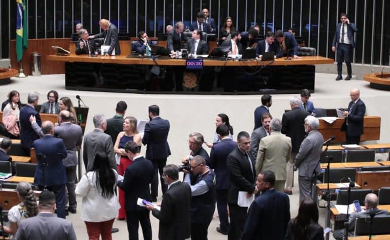 Legislativo aprova medida que restringe ações do Ibama no combate ao desmatamento