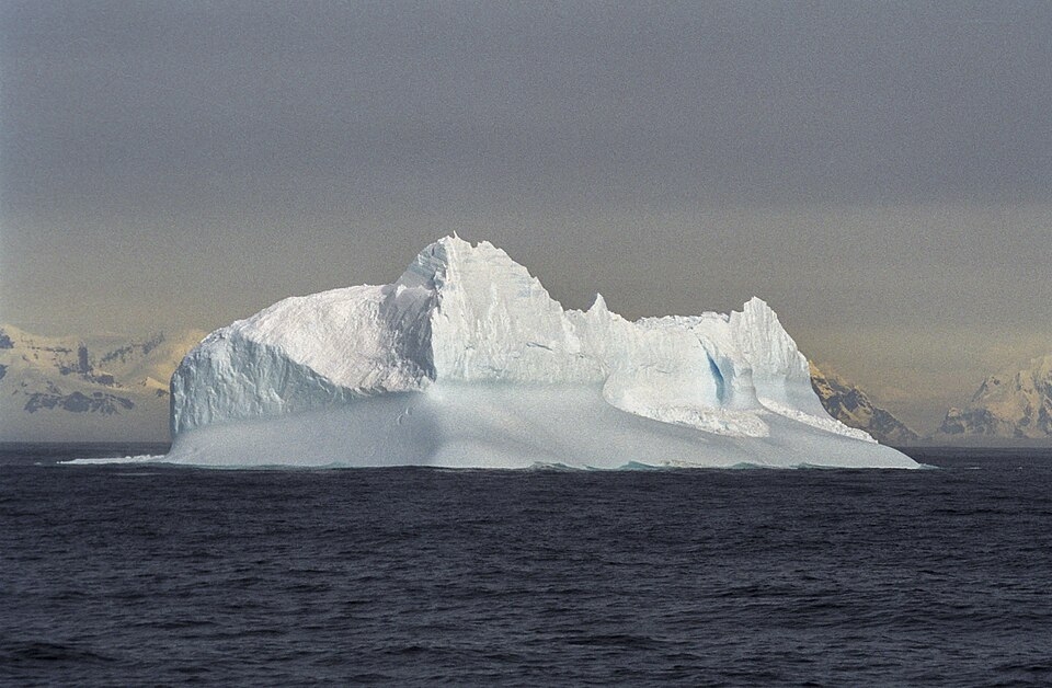 Cientistas brasileiras revelam nova espécie na Antártida, ampliando horizontes sobre a sobrevivência no extremo frio