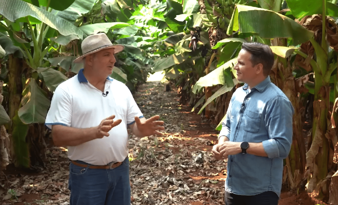 Agricultor mato-grossense eleva a banana a um novo patamar de rentabilidade, superando a soja