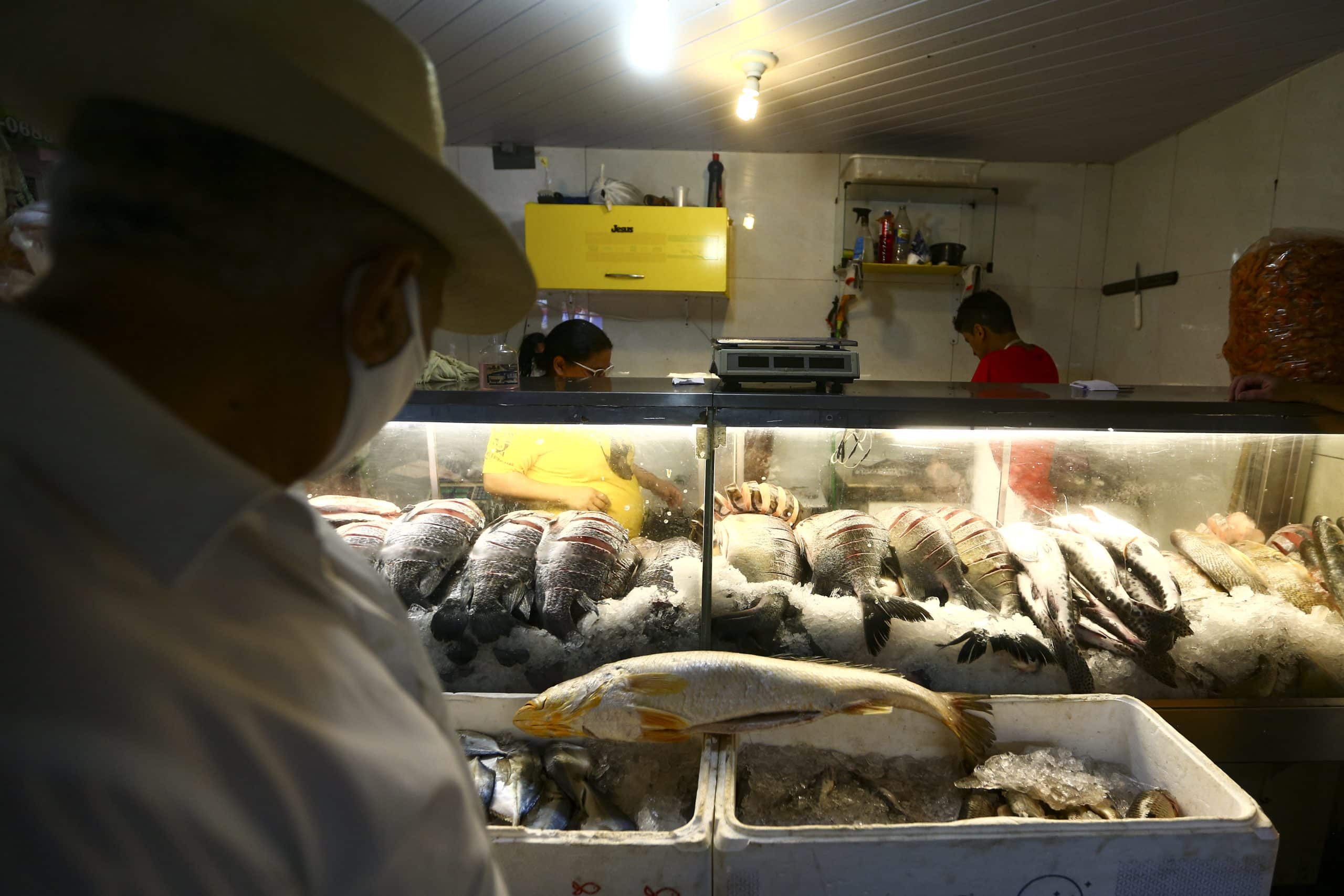 Perigo à mesa: toxina de peixe ignora cozimento e provoca aumento de 60% nas intoxicações