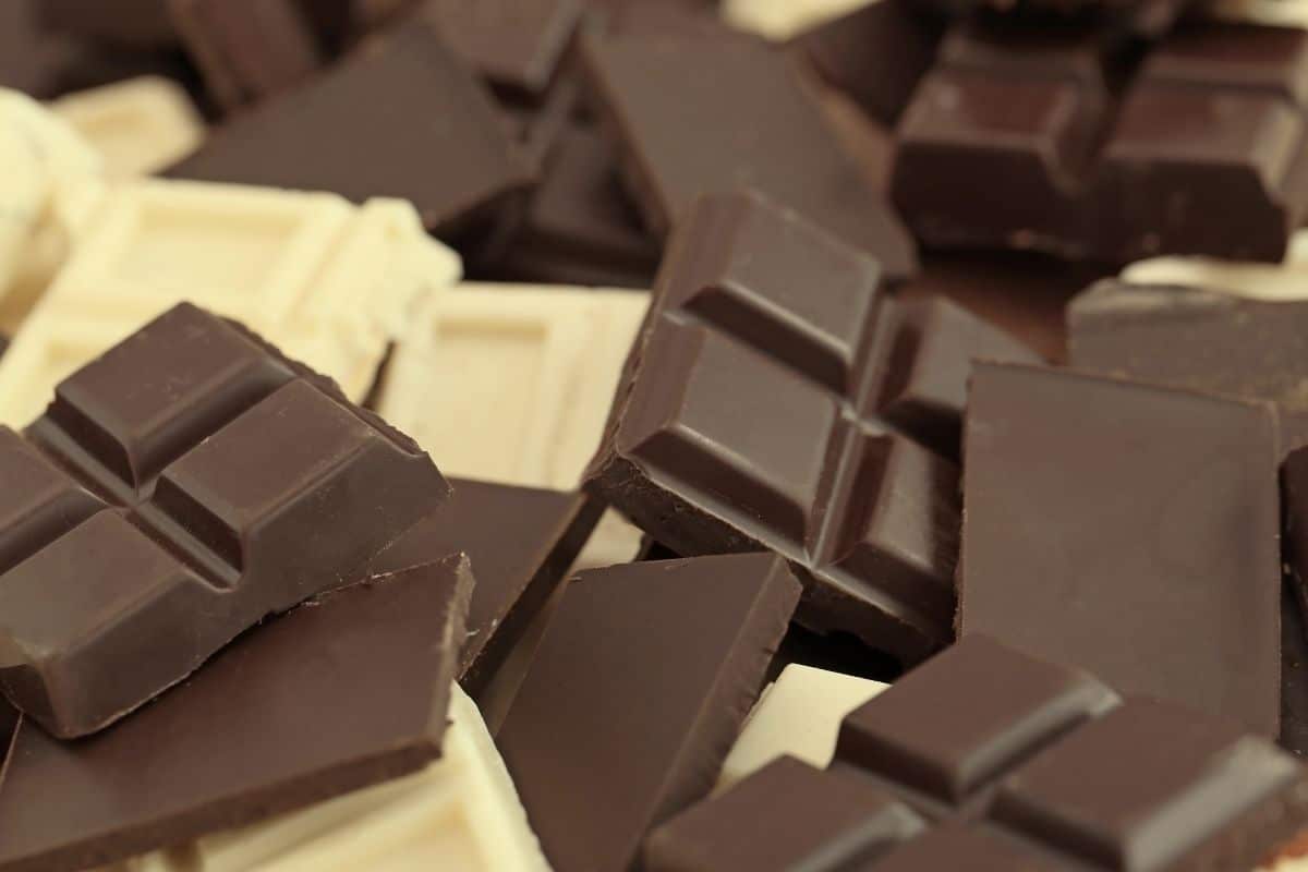 Prêmios de Chocolate: Dez marcas brasileiras são reconhecidas com medalhas
