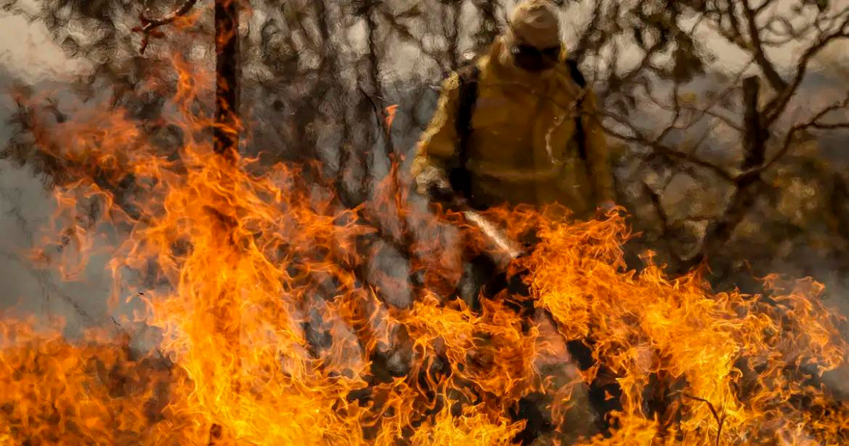 Ministro revela que incêndios no Amazonas, totalizando 540 focos, são resultado de ação deliberada.