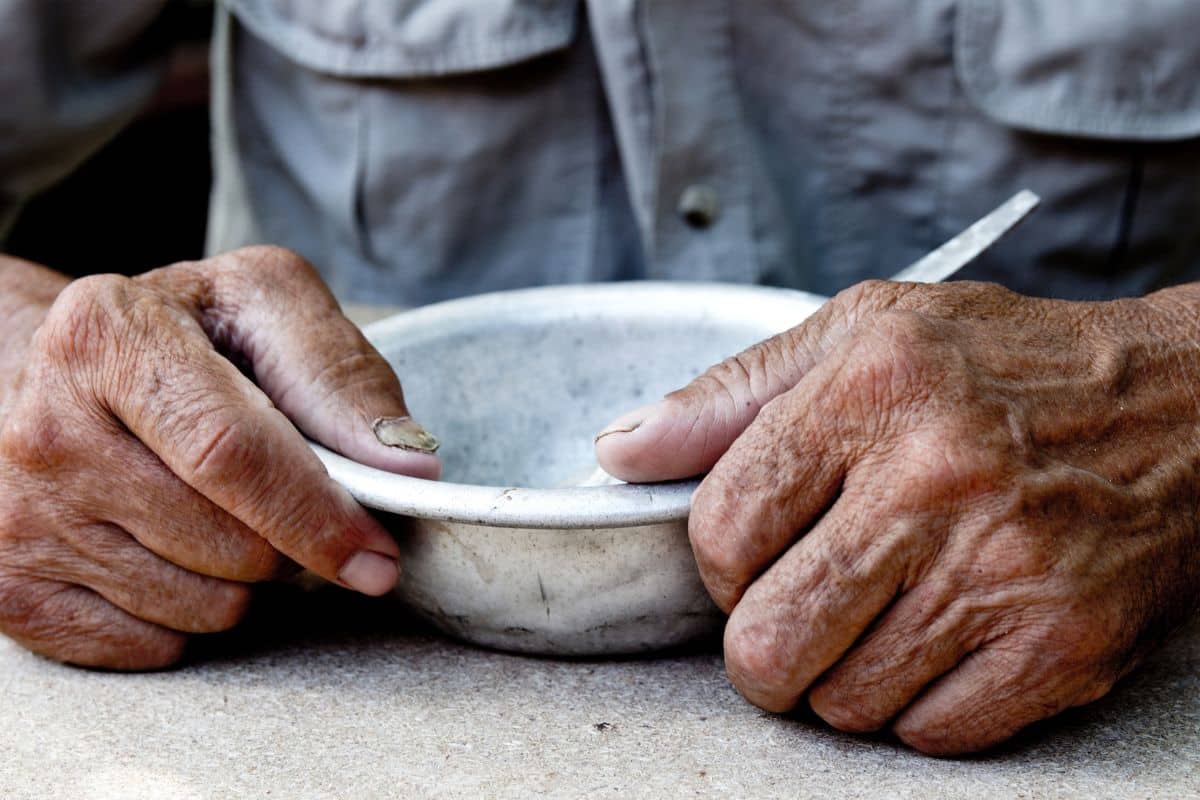 ONU emite aviso: o acesso à alimentação saudável se torna um privilégio para quase 3 bilhões de indivíduos.